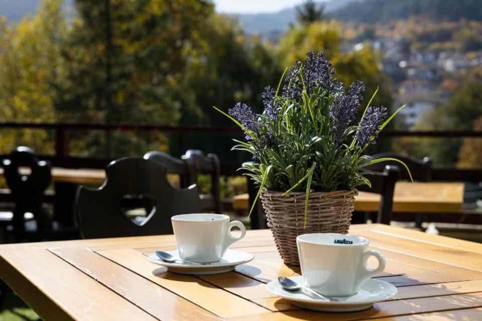 Devin Spa Hotel Εξωτερικό φωτογραφία