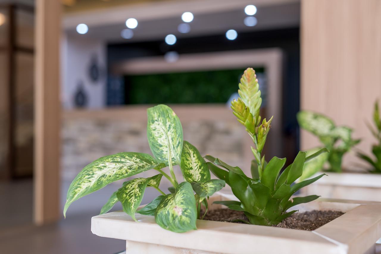 Devin Spa Hotel Εξωτερικό φωτογραφία